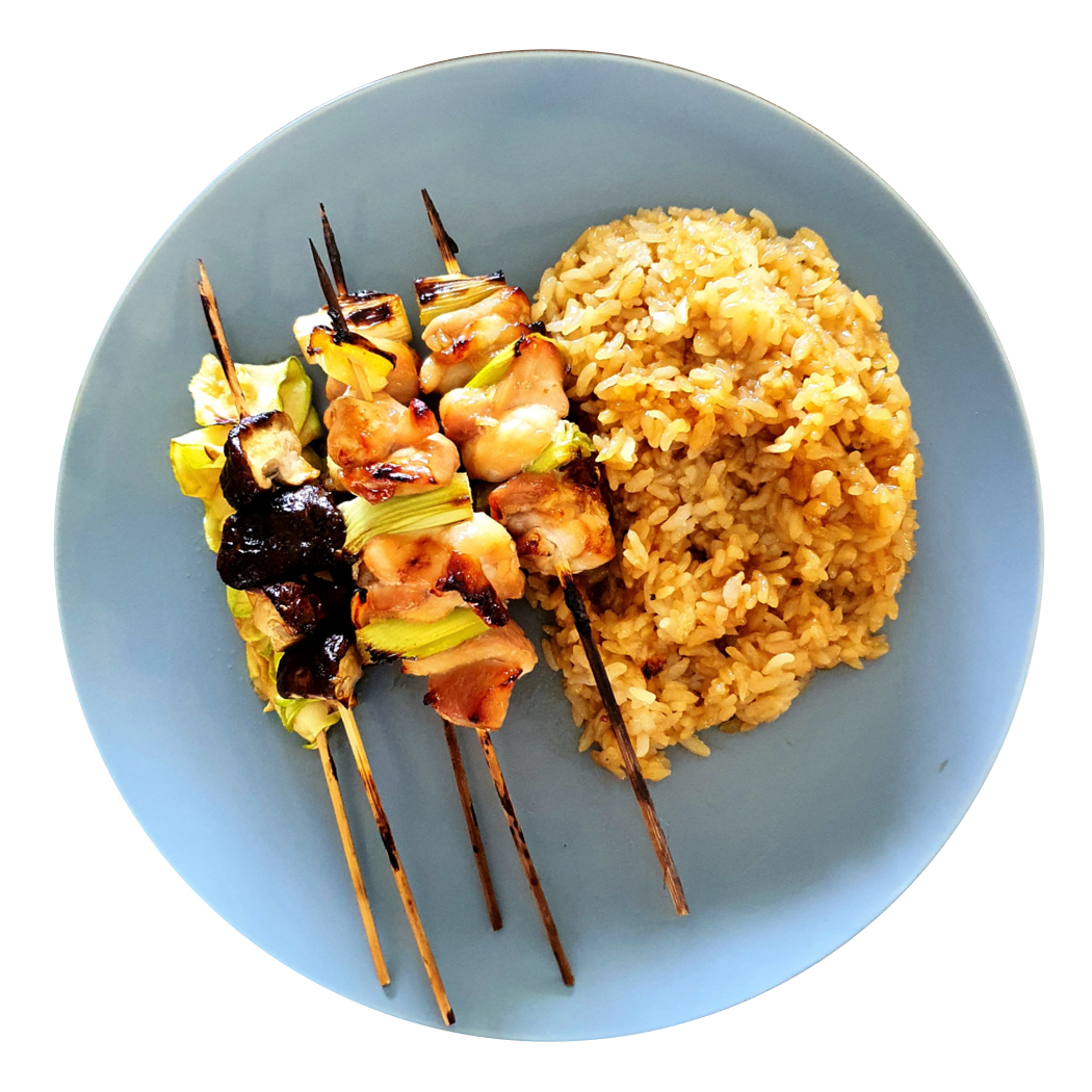 Negima Yakitori Skewers